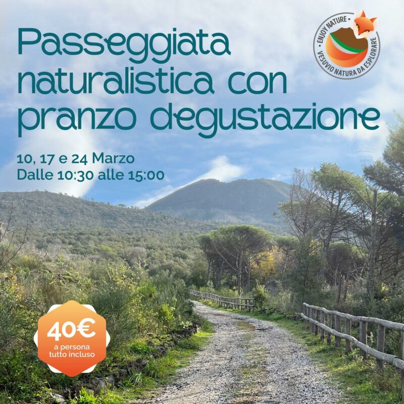 Passeggiata Naturalistica con Pranzo Degustazione