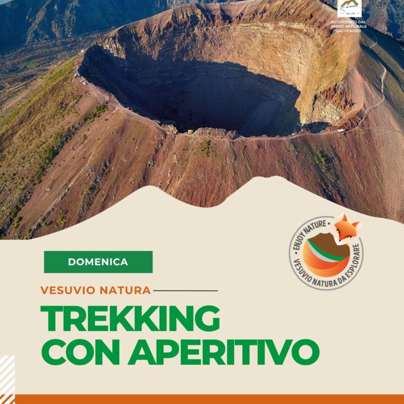 Vesuvio Trekking con Aperitivo